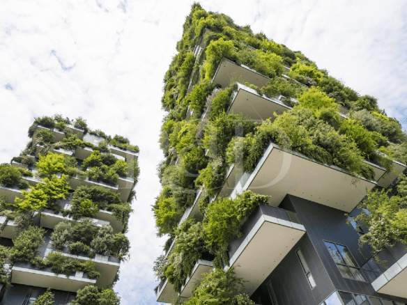 Alexander Rad - Viva onde a sua história faz sentido!